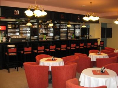 Hotel Manes Svratka 外观 照片